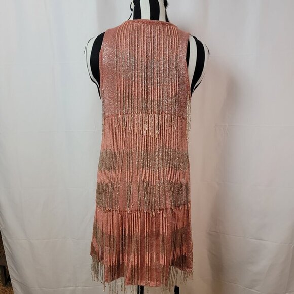 Adorable Zara Beaded Fringe Dress - 20's Flapper Style Updated for Today - M - Picture 9 of 12